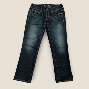 American eagle outfitters Artist jeans size 6